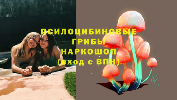 хмурый Горнозаводск