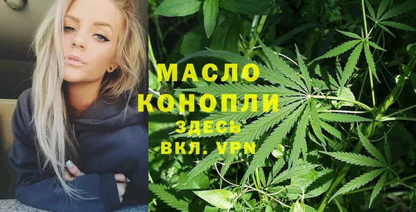 прущие крисы Горняк
