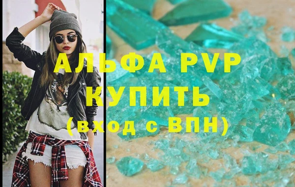 прущие крисы Горняк
