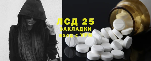 прущие крисы Горняк