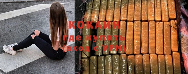 прущие крисы Горняк