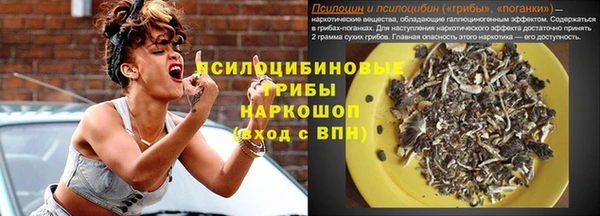 прущие крисы Горняк