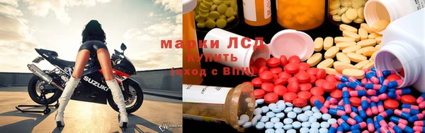 прущие крисы Горняк