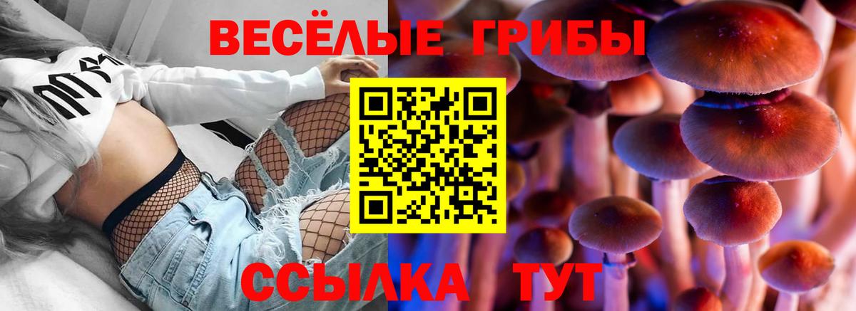 Конопля  Вход с VPN  COCAIN  МЕФ   Донецк  ТГК  Как найти закладки?  Гашиш 